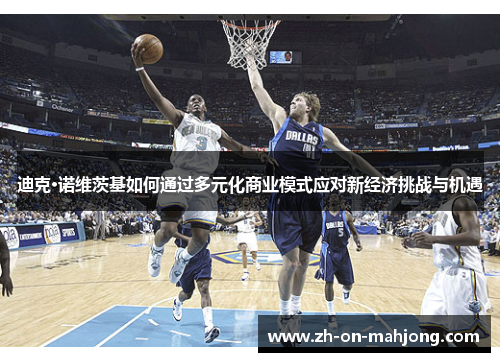 迪克·诺维茨基如何通过多元化商业模式应对新经济挑战与机遇